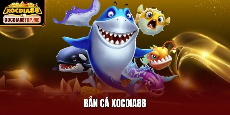 Bắn Cá Xocdia88 – Điểm Đến Hấp Dẫn Cho Tín Đồ Đam Mê Săn Ngư